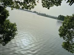 -东湖落雁景区