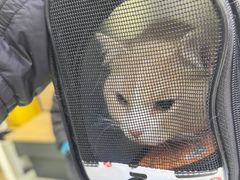 -瑞鹏宠物医院·宠保定点·心脏科·内科(御桥分院)