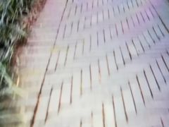 -桤木河湿地公园