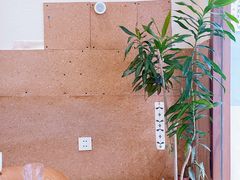 -Radar Coffee(思南路店)