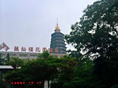 -听松楼·花园酒店·自助餐厅(红梅公园店)