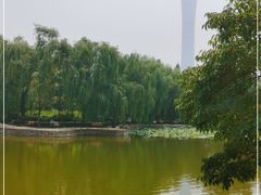 -团结湖公园