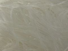 -川香煲(茅台路店)