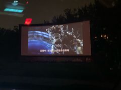-枫花园汽车电影院(朝阳公园店)