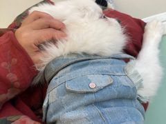 -怪兽屋·羊驼·猫咖·狗咖(俊华广场店)