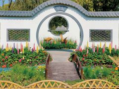 -上海共青森林公园