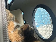 -达爱动物医院·犬猫分区·CT·复杂眼科(远洋山水分院)