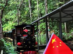 -九龙江国家森林公园