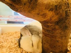 -龙猫仔乐园(惠福东路店)