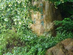 -广州市帽峰山景区