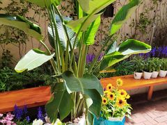 -Osteria Garden 生蚝花园餐厅(原进贤路店)