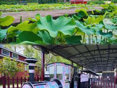 -武汉紫薇都市田园