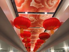-上海浦东国际机场-T2航站楼