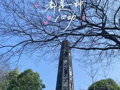 -上海佘山国家森林公园天马山园