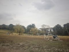-雨花胜境
