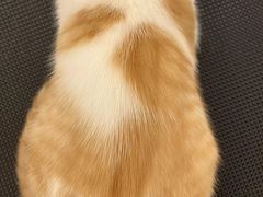 -comecome来吧宠物(奥克斯中心店)