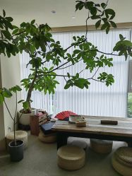 -阿南达·瑜伽普拉提·阿育吠陀疗愈中心