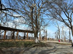 -紫金山山顶公园