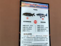 -全乐鱼馆·淳牌有机鱼直营店
