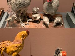 -中国闽台缘博物馆