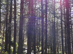 -野三坡百草畔景区