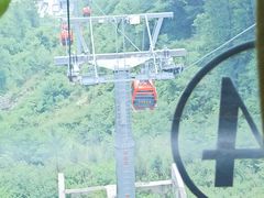 -牛背梁国家森林公园