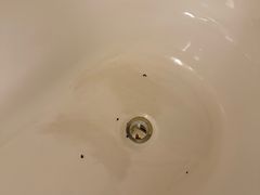 -宁波九龙湖开元度假村