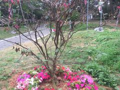 iphone_upload_pic-胡里山炮台