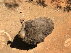 -昆明动物园