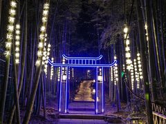 -杭州黄龙洞