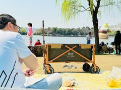 -南翔镇银翔湖公园