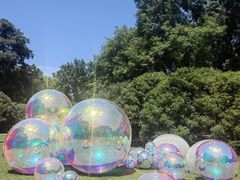 -上海共青森林公园