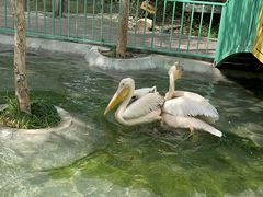 -水上乐园·欢乐世界