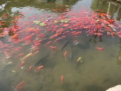 -竹泉村旅游度假区