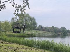 -眉山湿地公园(东坡区)