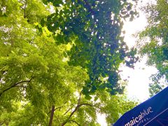 -JamaicaBlue(新城国际店)