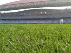 -南京奥林匹克体育中心-体育馆