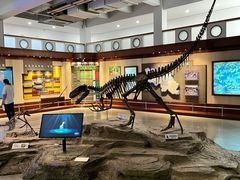 -自贡恐龙博物馆