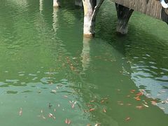 -黄花溪