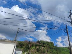 -四明山国家森林公园