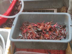 -小田油焖小龙虾(双井店)