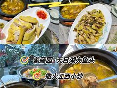 -紫藤园·天目湖大鱼头(南山竹海店)