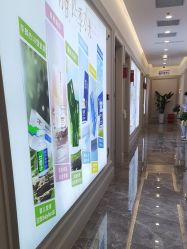 -南京医科大学友谊整形外科医院