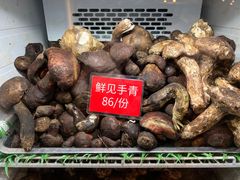 -太婆天府山珍酒楼(亚运村店)