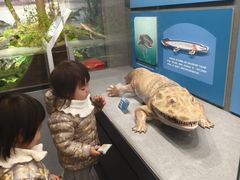 -国家自然博物馆