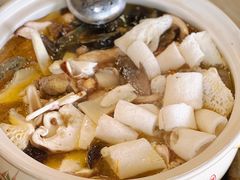 -杨记山珍鸡煲菌汤锅