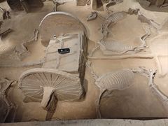 -洛阳周王城天子驾六博物馆