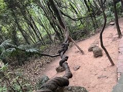 -窦圌山风景区
