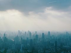 -上海柏悦酒店·世纪100牛排馆