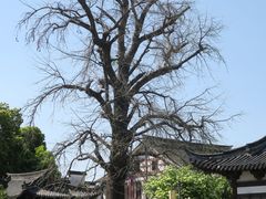 -常熟方塔园